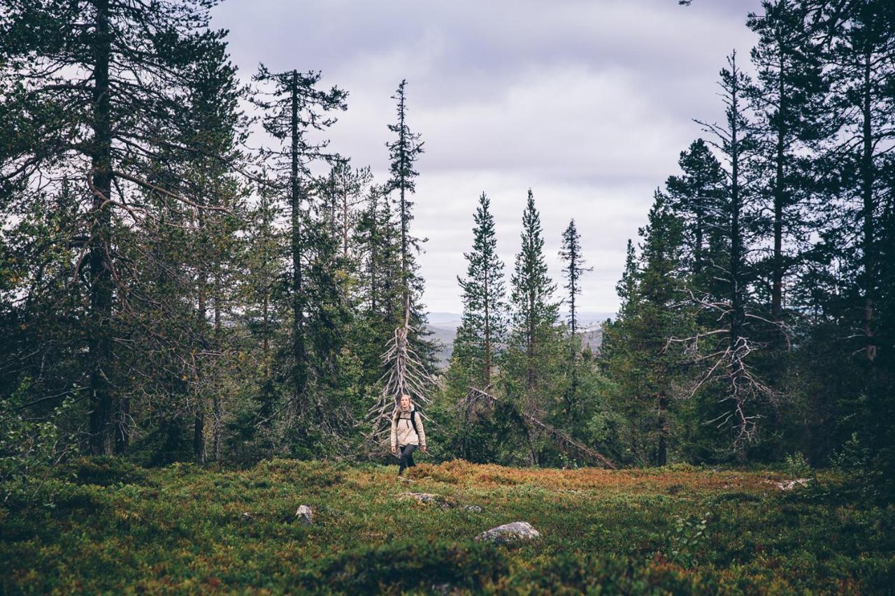 Lapland Hotels Saaga Ylläsjärvi Zewnętrze zdjęcie